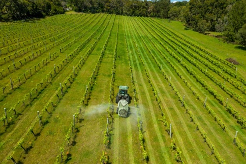 Pesticide spraying from a tractor on crops 500 px wide
