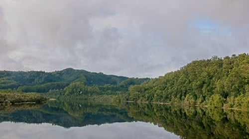 Tasmania rain forest and its reflections on the Gordon River
