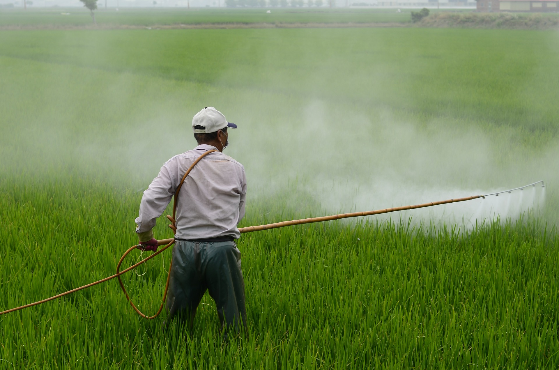 How Do You Store Pesticides?
